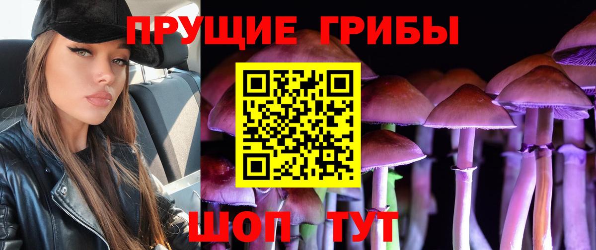 наркота  Галлюциногенные грибы Cubensis  Пугачёв  Вход с VPN  Галлюциногенные грибы GOLDEN TEACHER 
